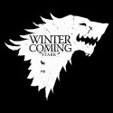 تی شرت Winter Is Coming