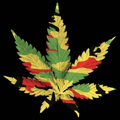 سویشرت هودی Rasta Camo