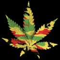 سویشرت هودی Rasta Camo