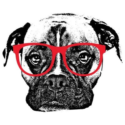 تیشرت Boxer Dog with Glasses