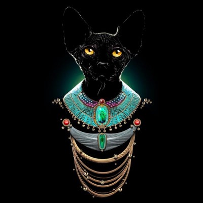 تیشرت دخترانه طرح Sphynx Cat