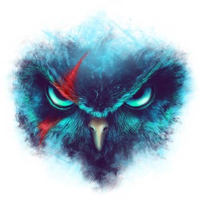 تیشرت گرافیکی طرح The Fearsome Owl