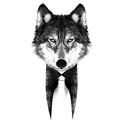 تیشرت گرافیکی طرح Mr Wolf