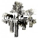 تیشرت گرافیکی طرح Duality