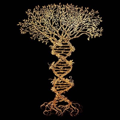 تیشرت گرافیکی طرح Tree of life 2