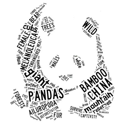 تیشرت گرافیکی طرح Black Giant Panda