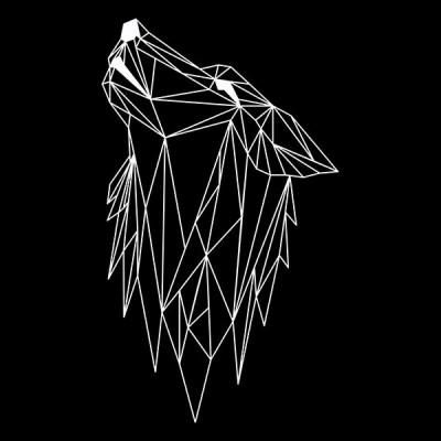 تیشرت Polygonl white wolf