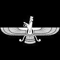 تی شرت فروهر