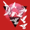 تیشرت the Peacemaker