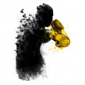 تیشرت The butterflies and the gloves of stingers