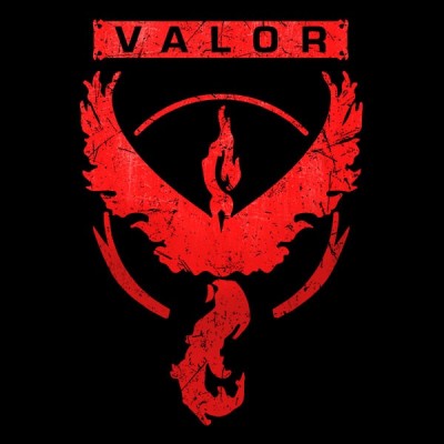 تیشرت طرح We Are Valor Poke Team
