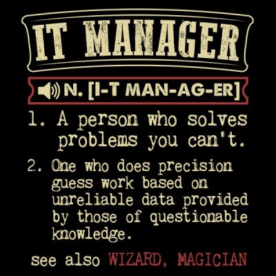 تی‌شرت IT Manager Funny Dictionary Term