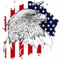 تی‌شرت آستین بلند طرح Bald eagle