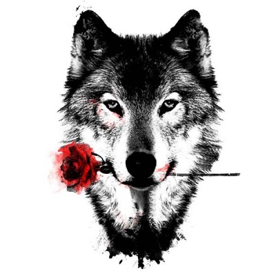 تی‌شرت آستین بلند رگلان طرح Black Rose