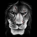 تی‌شرت آستین بلند طرح Scarface