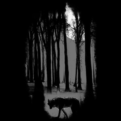 تی‌شرت سوپرمن طرح Midnight Territory