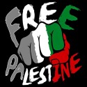 سویشرت هودی Free Palestine