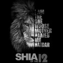 تی‌شرت طرح Shia of the 12