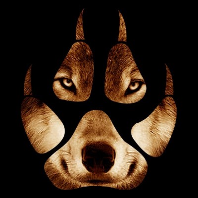 سویشرت هودی Mr Wolf