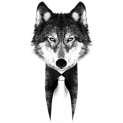 تی‌شرت آستین بلند رگلان طرح Wolf mark