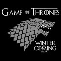 سویشرت هودی Winter is Coming Stark