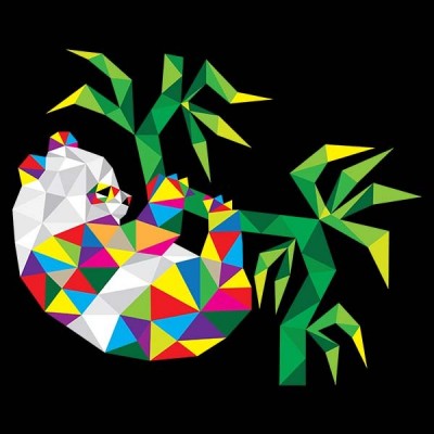 سویشرت هودی طرح Beauty Panda