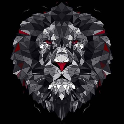 تی‌شرت آستین بلند طرح The King of Dreams