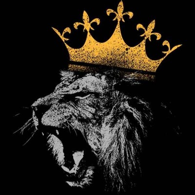 تی‌شرت آستین بلند طرح king of the jungle lion