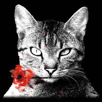 تیشرت دخترانه طرح I am in love