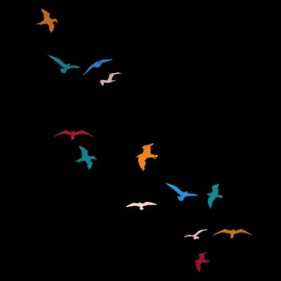 تیشرت Flying Birds
