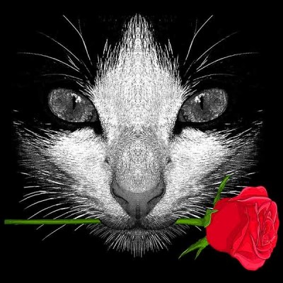تیشرت دخترانه طرح Black Cat with Rose