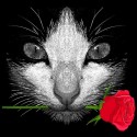 تیشرت دخترانه طرح Black Cat with Rose