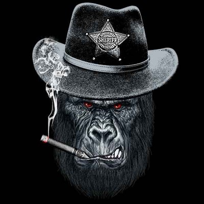 تیشرت طرح Sheriff