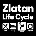 تیشرت طرح Zlatan Ibrahimovic Life Cycle