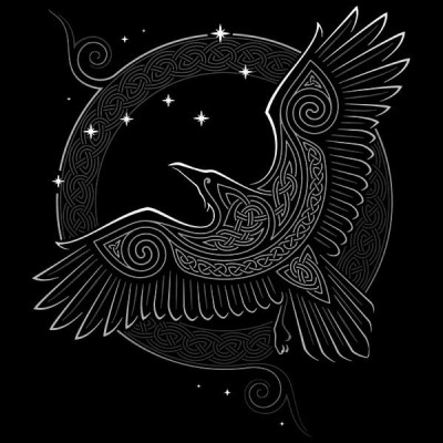 تیشرت طرح NORTHERN RAVEN