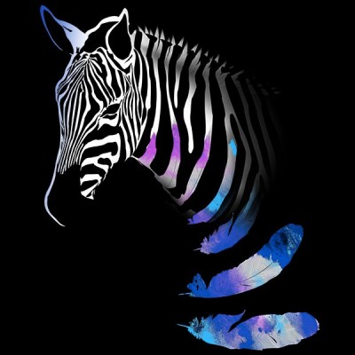 تیشرت طرح Zebra feather