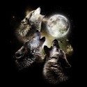 تیشرت طرح Three Wolf Moon