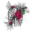 تیشرت طرح Rose Skeleton