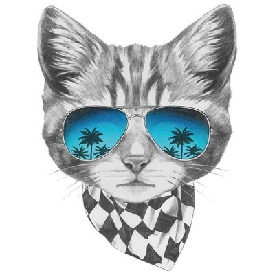 تیشرت دخترانه طرح Summer Adventure