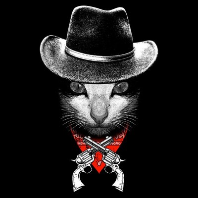 تیشرت دخترانه طرح The Cowboy Cat