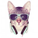 تیشرت دخترانه طرح COOL CAT