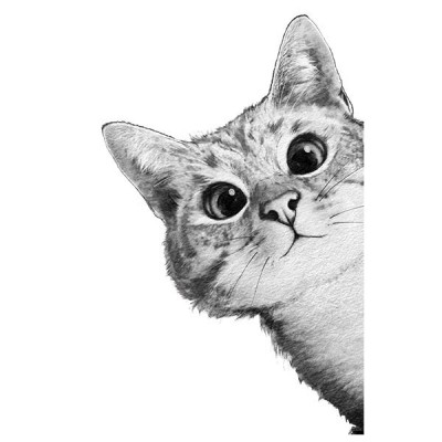 تیشرت دخترانه طرح Sneaky cat