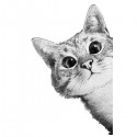 تیشرت دخترانه طرح Sneaky cat
