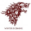 تیشرت Winter is coming