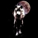 تیشرت طرح Wolf and the moon