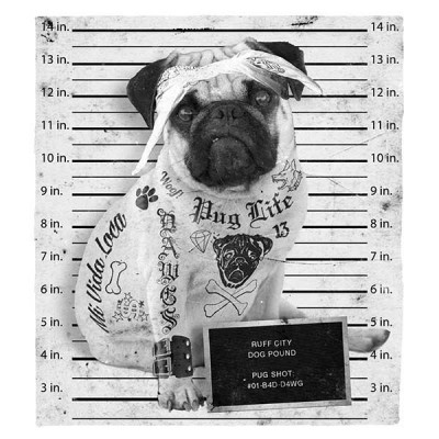 تیشرت Pug Life