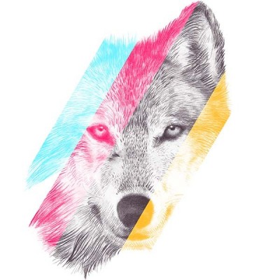 تیشرت Color my world