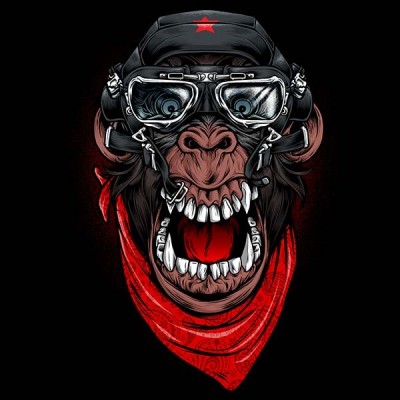 تیشرت mad monkey adventurer