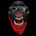 تیشرت mad monkey adventurer