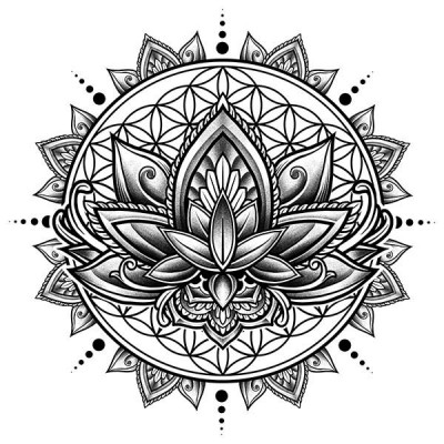 تیشرت Lotus Mandala - Black